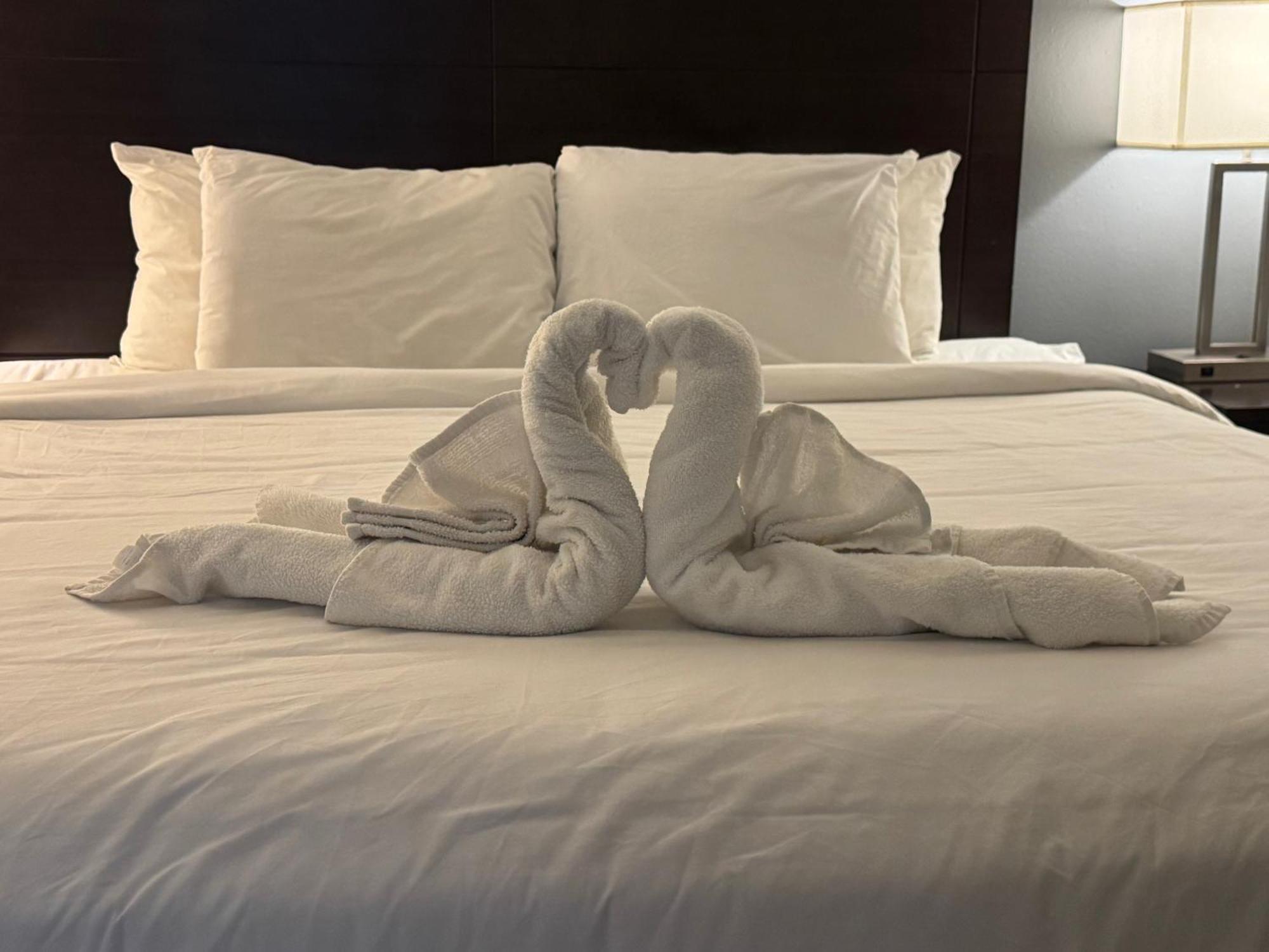 Clarion Inn & Suites Dothan South Экстерьер фото